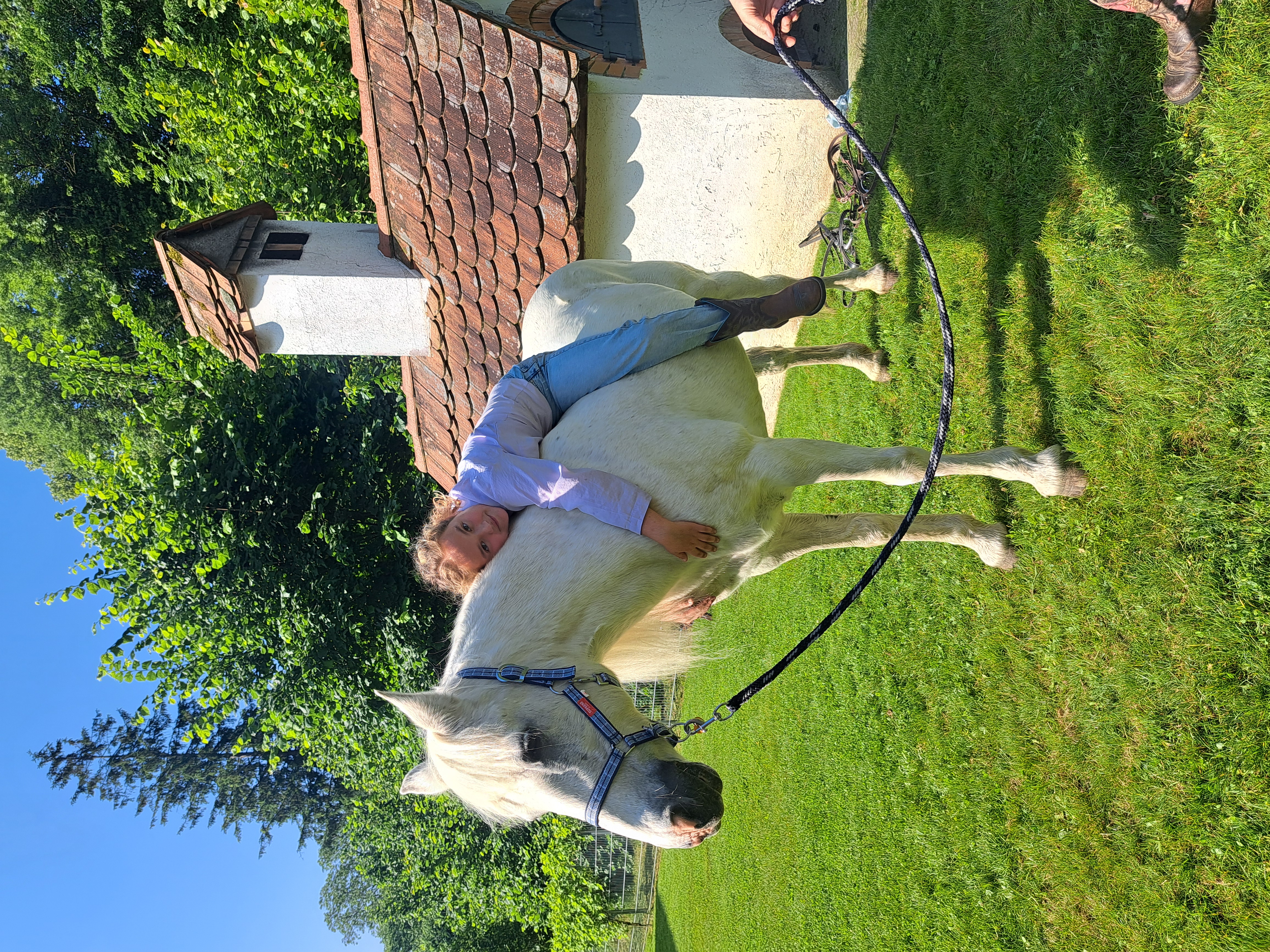 Ein Referat der besonderen Art: Das Thema „Pferd“ begeistert die 2c