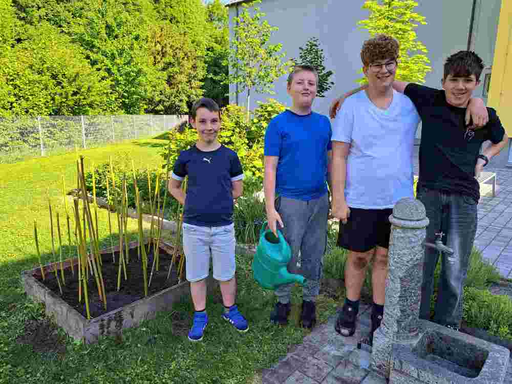 Gartenprojekt