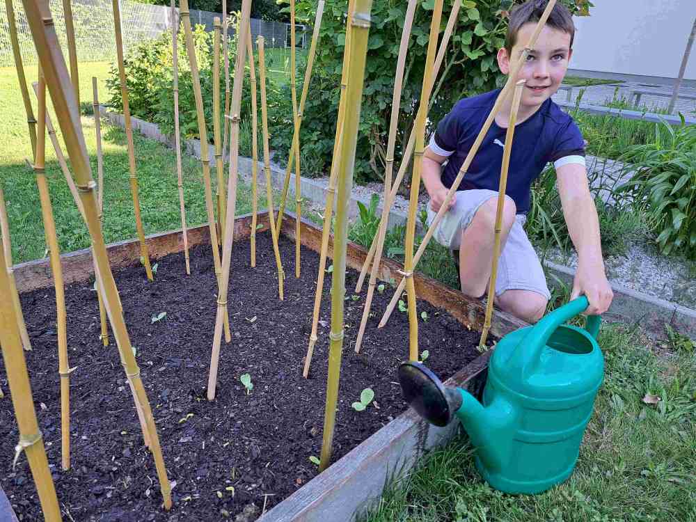 Gartenprojekt